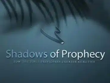 Cover artwork for article titled Shadows of Prophecy