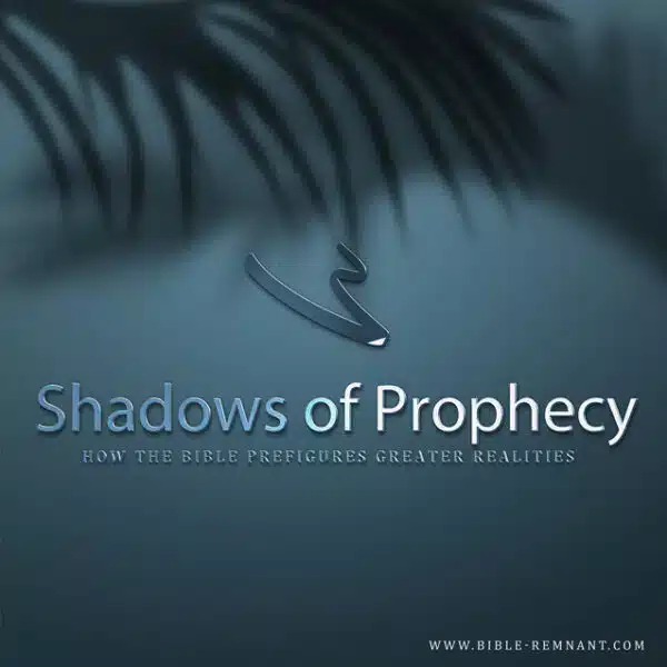 Cover artwork for article titled Shadows of Prophecy