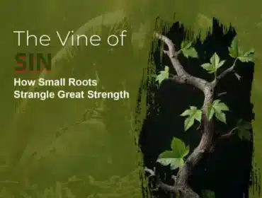 Imagine of the vine of sin climbing up