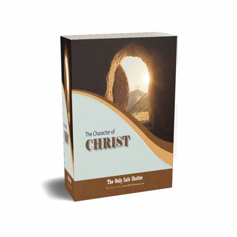 Book showing the Character of Christ cover artwork