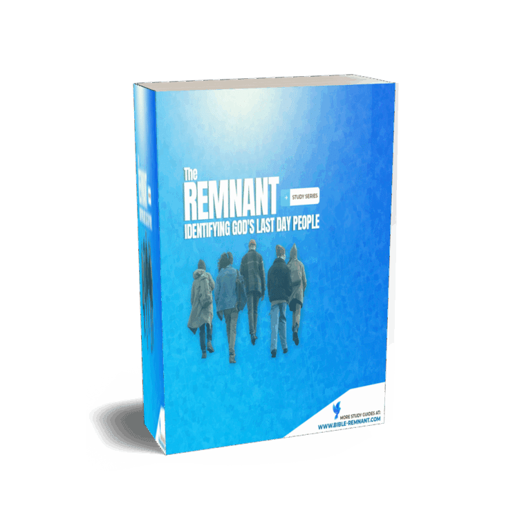 Book showing the Remnant cover artwork