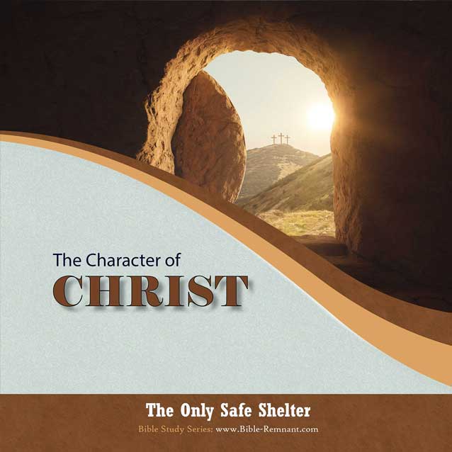 Cover art for The Character of Christ series