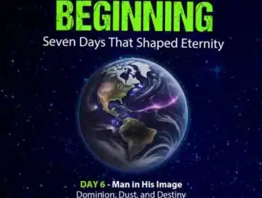 Cover artwork for Bible study series on creation, day 6