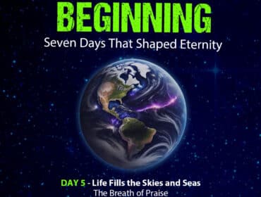 Cover artwork for Day 5 of the creation Bible study series
