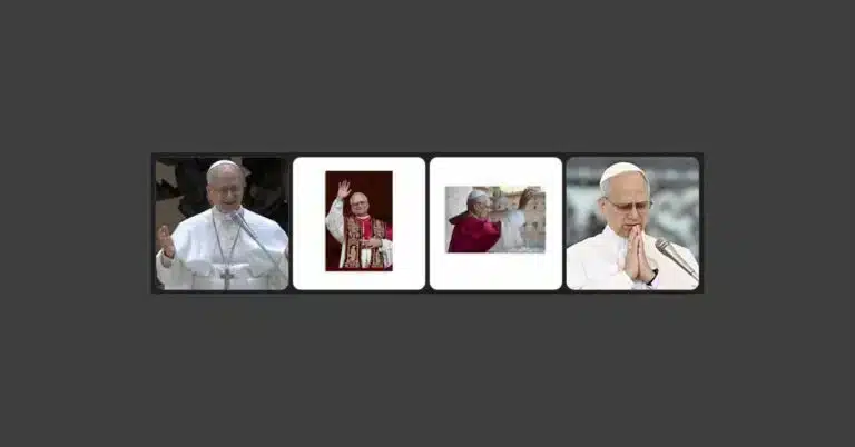 Images of pope leo the 14th on gray background