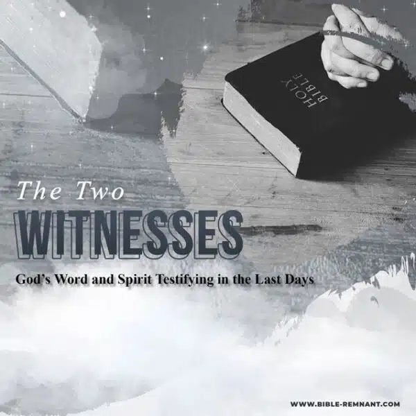 Artwork for article titled The Two Witnesses of Revelation 11 – God’s Word and Spirit Testifying in the Last Days