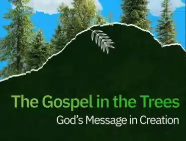 Image of trees and sky with the title Meaning of Trees in Bible