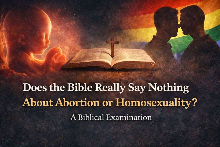 Image of unborn baby and homosexuals for Bible study topic